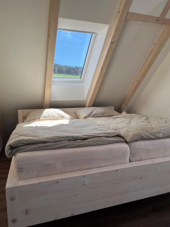 U Kralika, Apartman H, 3 Samostatne Loznice - Mezonet, Vlastni Parkovani, 50 Metru Od Vleku , Vysousece Bot V Lyzarne Dolni Morava Exterior photo