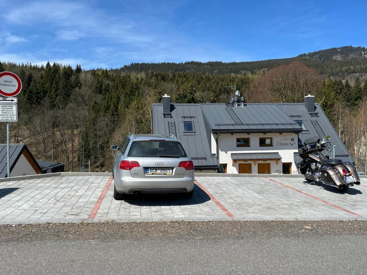 U Kralika, Apartman H, 3 Samostatne Loznice - Mezonet, Vlastni Parkovani, 50 Metru Od Vleku , Vysousece Bot V Lyzarne Dolni Morava Exterior photo